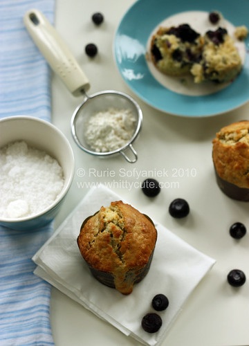 Blueberry Muffin