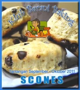1 Logo Lulus SCONES